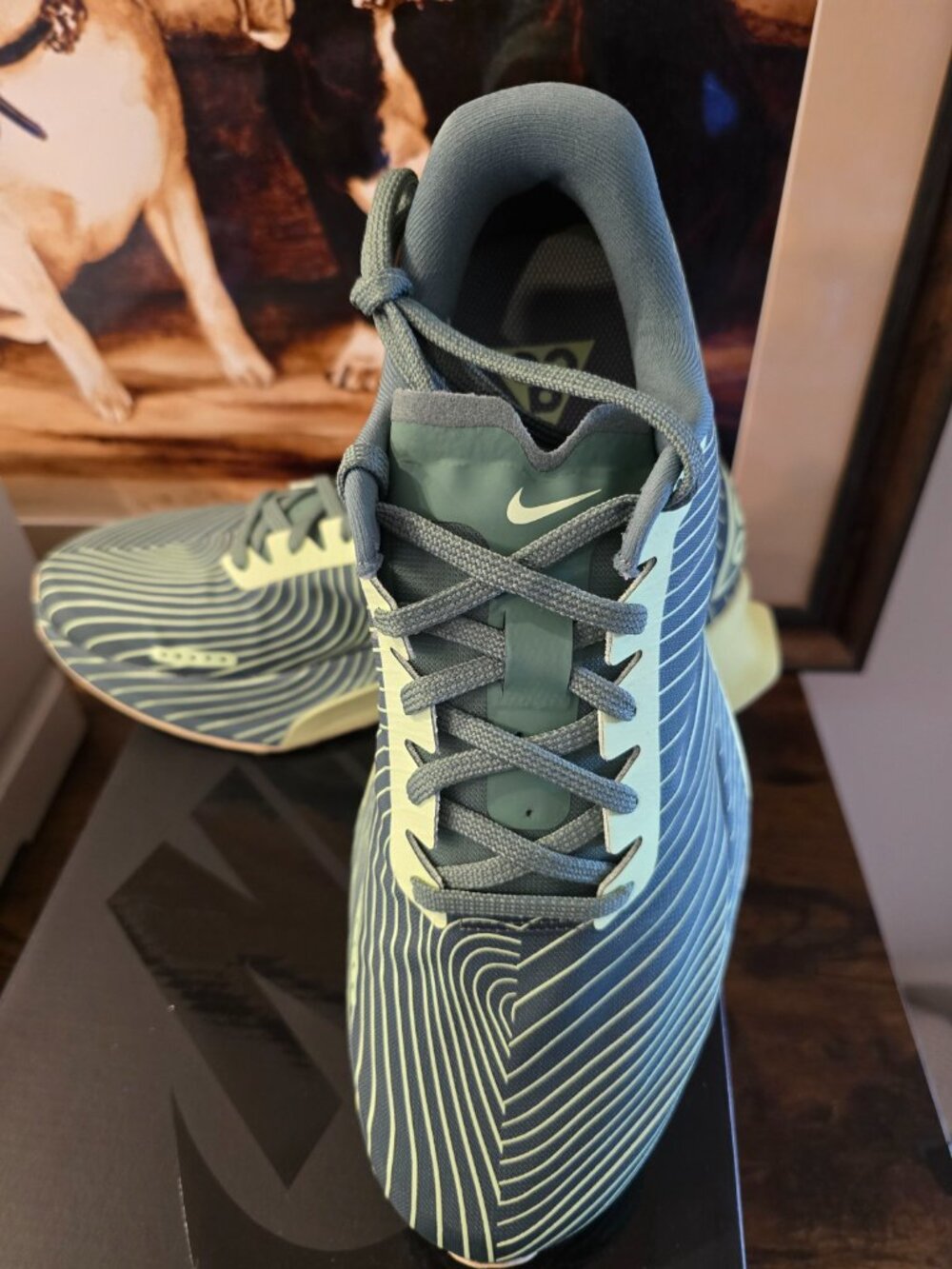 Nike ACG Ultrafly Trail SP Dutch Green Barely Volt IR7317-300 Size 10 Men's NEW - Picture 2 of 15